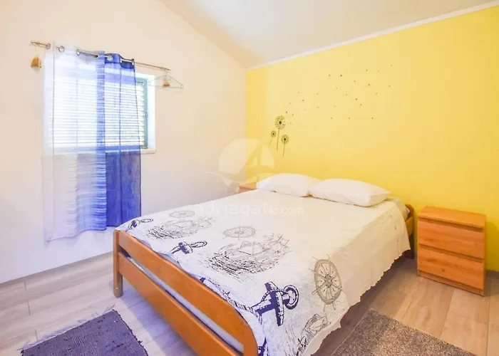 House Vagabond تكون