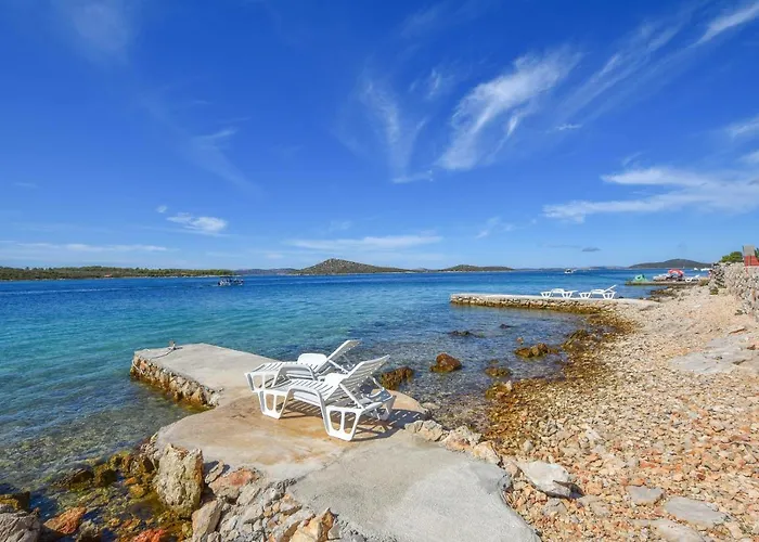 House Vagabond * تكون