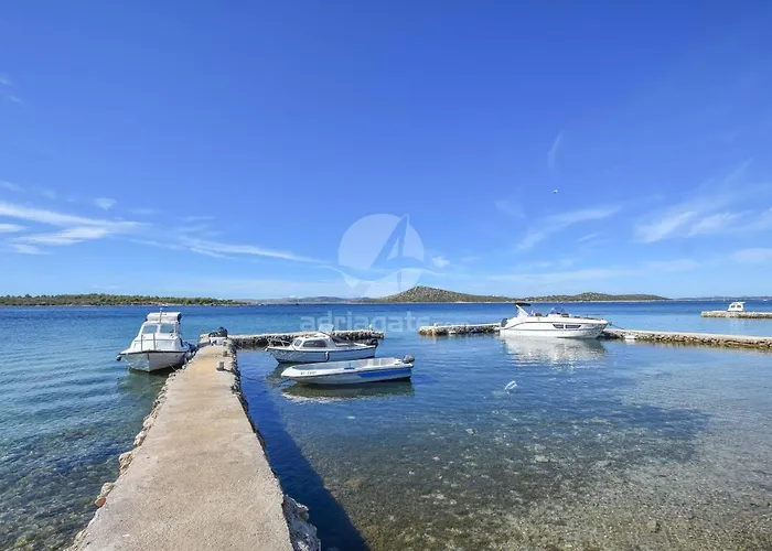 House Vagabond * Tkon